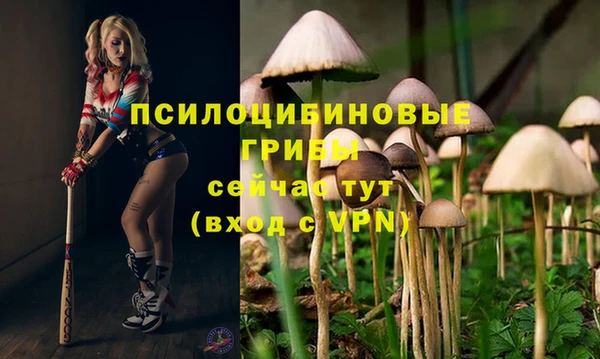 не бодяженный Абдулино