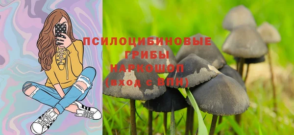 трава Алексин