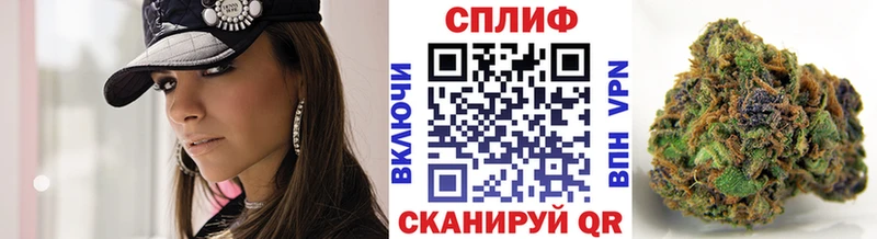 МАРИХУАНА сатива Дубна